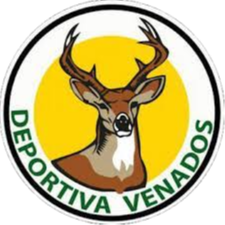 Hold Deportiva Venados. Opstilling Football