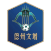 Dezhou Team – Football Team