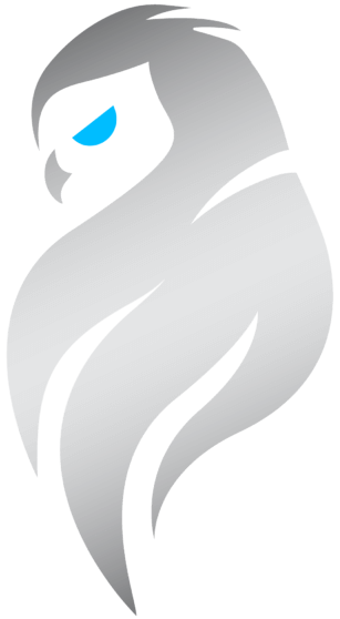 Dignitas Mirage LoL Team