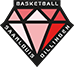 Dillingen Diamonds Women – Basketball Team