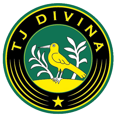 Drużyna Divina. Skład Football