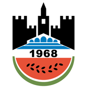 Equipo Diyarbakirspor. Composición De Football