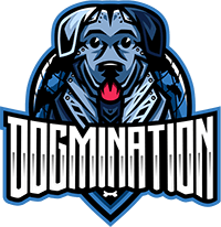 Hold Dogmination. Opstilling CS2 (CS:GO)