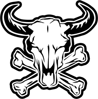 Hold DomiNation eSports. Opstilling CS2 (CS:GO)