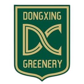 Equipo Dongxing Greenery. Composición De Football