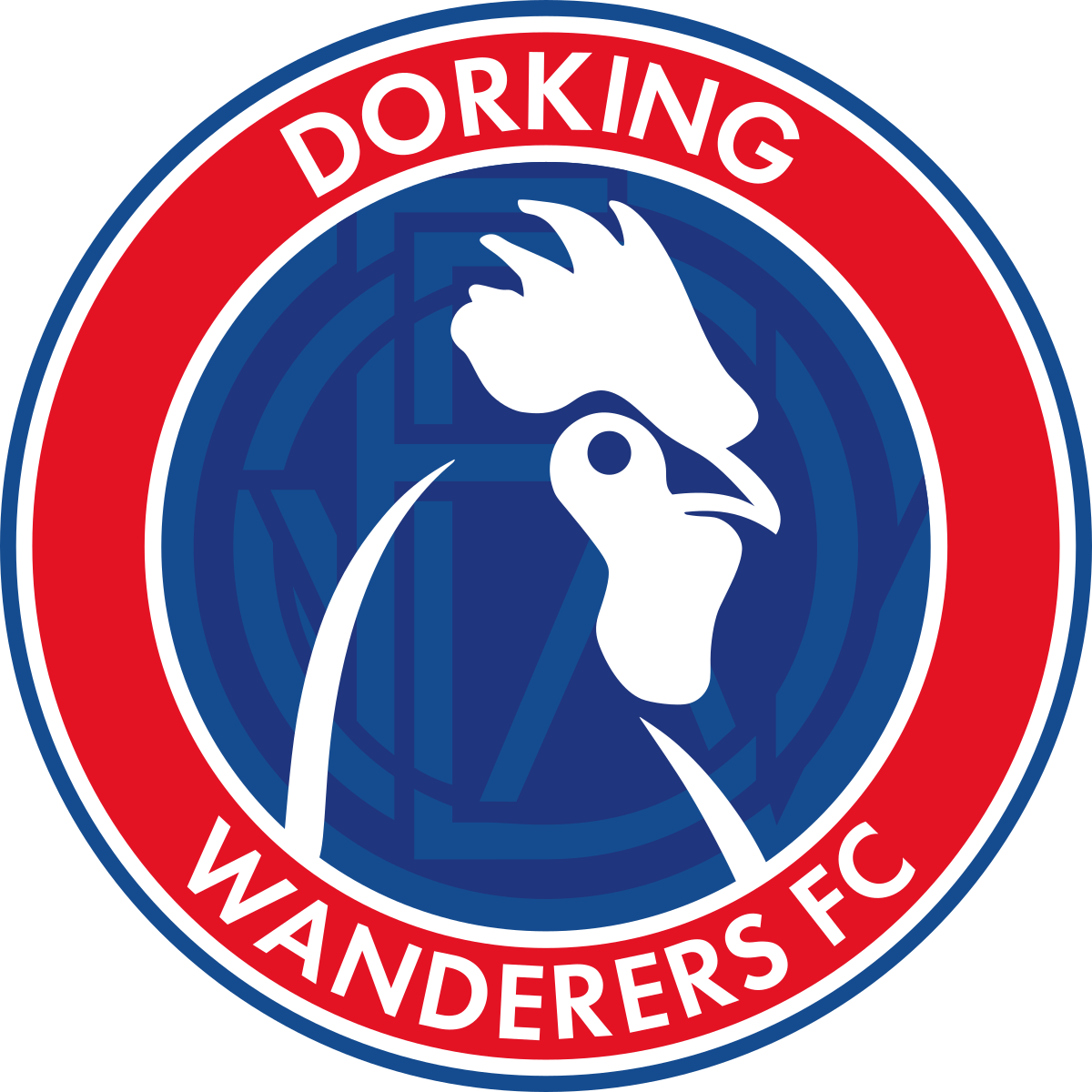 Equipo Dorking Wanderers (f). Composición De Football