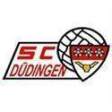 Dudingen Football队