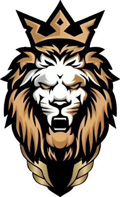 Hold DUPG Esports. Opstilling Valorant