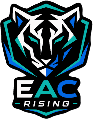EA Копенгаген Rising, склад з CS2 (CS:GO)