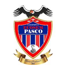 Equipo Ecosem Pasco. Composición De Football