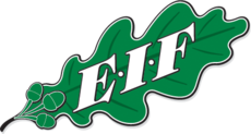 EIF 学院 Football队
