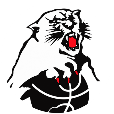 Eltham Wildcats – Basketball Team