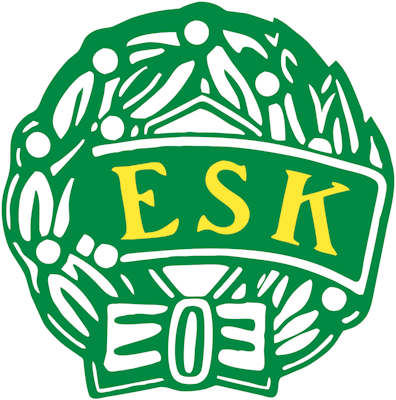 Equipo Enkoping. Composición De Football
