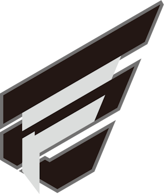 Equipo ENTER FORCE.36. Composición De Overwatch