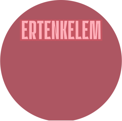 ERTENKELEM – Dota 2 Équipe