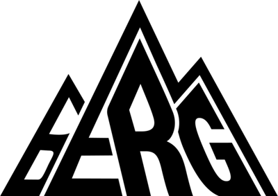 Esport BERG Rocket League Team