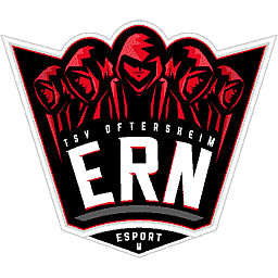 Hold eSport Rhein-Neckar. Opstilling Dota 2