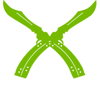 Fadee CS2 (CS:GO) Team