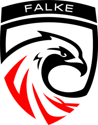 FALKE VENOM – Valorant Team
