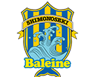 Baleine Shimonoseki – Football Team