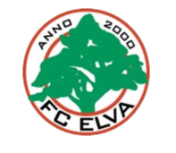 Ельва (ж), склад з Football