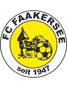 Equipo FC Faakersee. Composición De Football