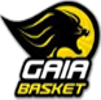 Команда FC Gaia. Состав Basketball