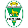 FC Gomel B – Football Team