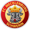 Mecklenburg Schwerin Football Team