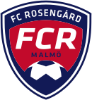 Equipo Rosengard (f). Composición De Football