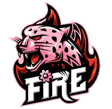 Fire E-Sports Arena of Valor Team