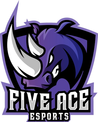 Команда Five Ace e-Sports. Состав Valorant