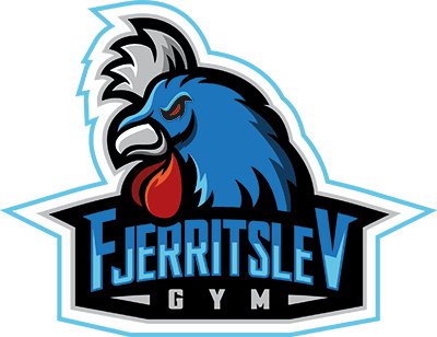 Hold Fjerritslev Gymnasium. Opstilling CS2 (CS:GO)