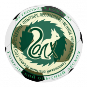 FK Leskhoz – Football Team