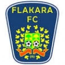 Команда Фэлешти. Состав Football
