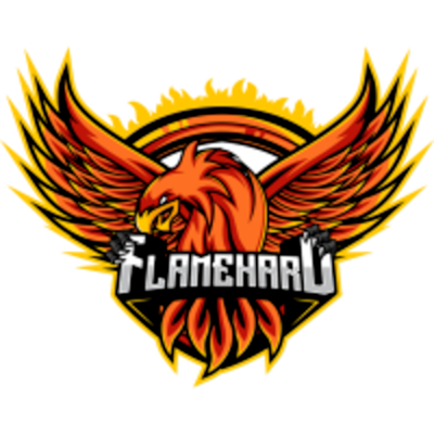 Hold Flame Hard. Opstilling CS2 (CS:GO)
