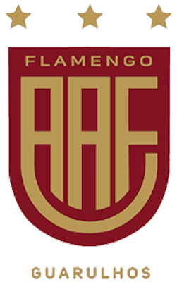 AA Flamengo (Youth) Football Team