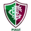 Fluminense PI (Youth) – Football Team