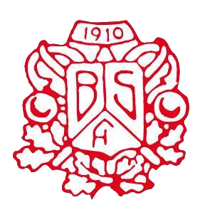 Bjorkelangen Football Team