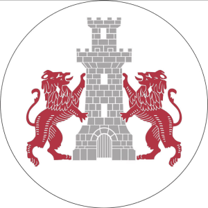Cetatea Turnu Magurele – Football Team