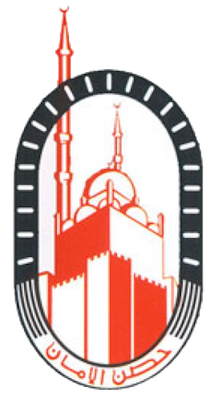 Equipo Egypt Insurance. Composición De Football