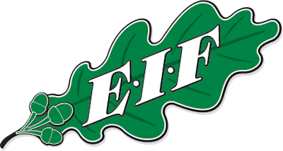 Ekenas IF B – Football Team