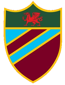Evans Williams Football Team