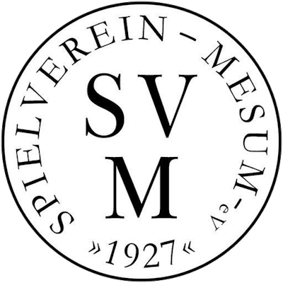 Hold SV Mesum. Opstilling Football