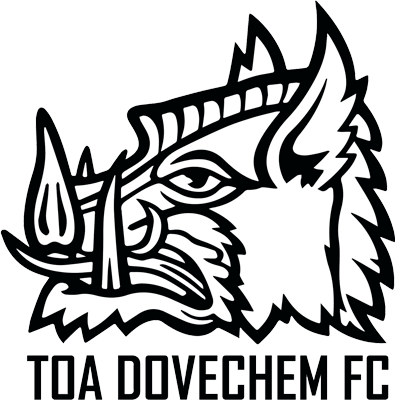 TOA化工 Football队