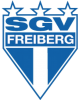 Equipo Friburgo. Composición De Football