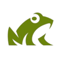 Frogless – Valorant