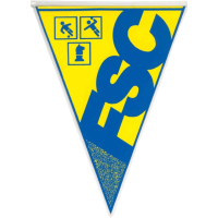 菲泽萨博尼 Football队