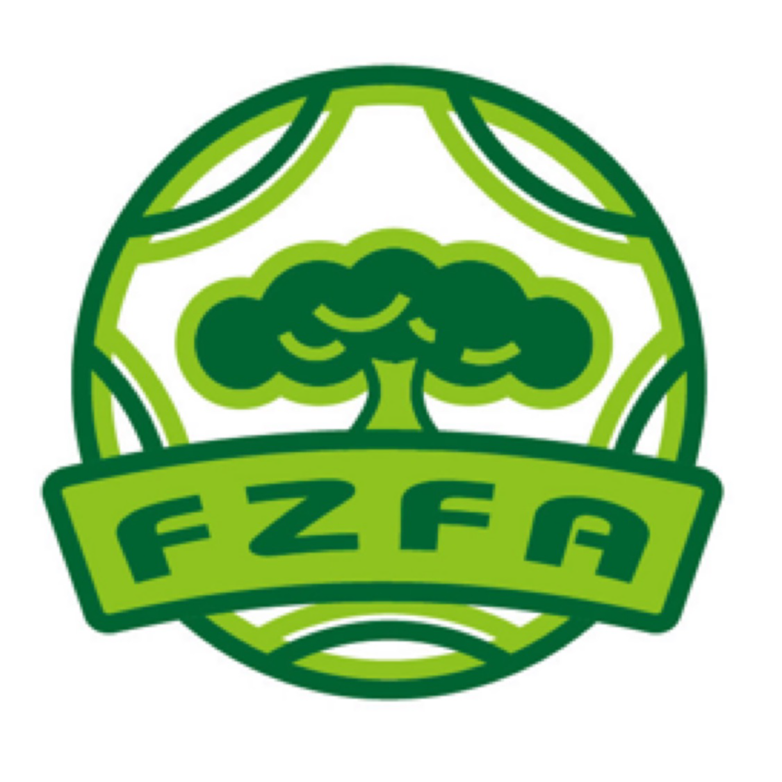 Fuzhou U13 – Football Team