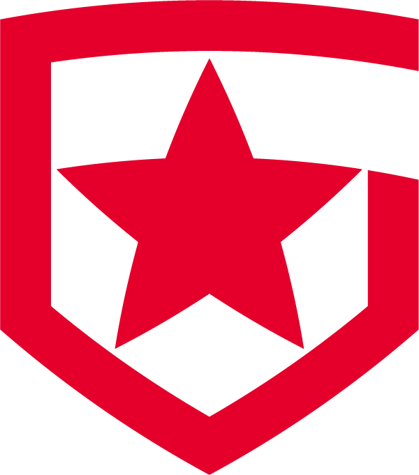Gambit-2 – Dota 2 Team